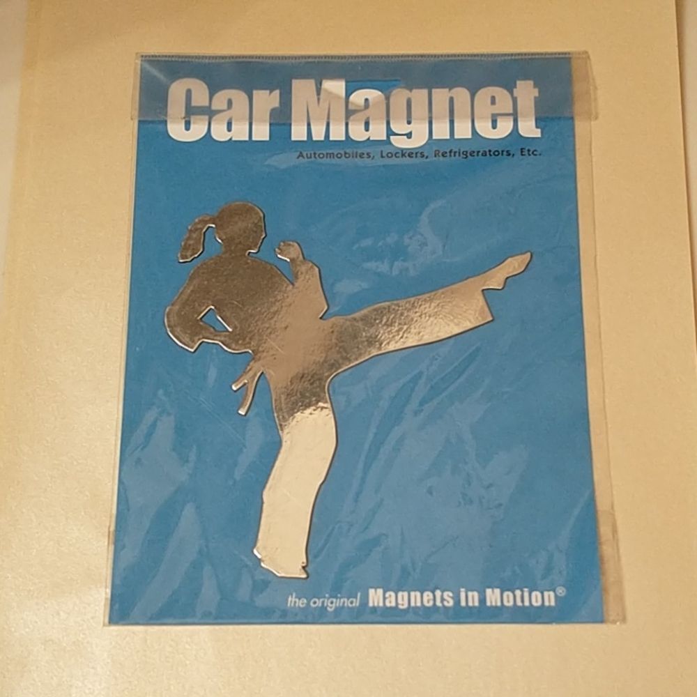 π3/$12 Karate Girl Car Magnet! - Picture 1 of 6